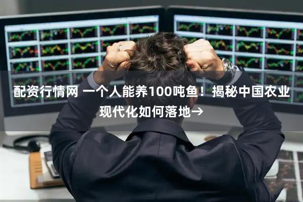 配资行情网 一个人能养100吨鱼！揭秘中国农业现代化如何落地→