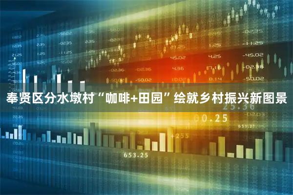 奉贤区分水墩村“咖啡+田园”绘就乡村振兴新图景