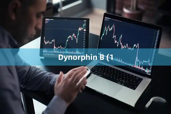Dynorphin B (1