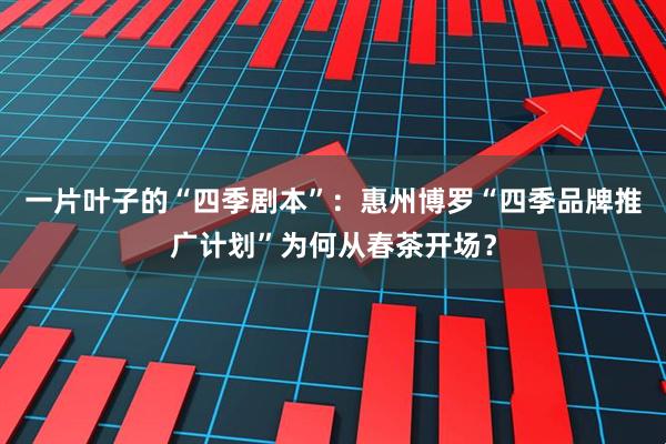 一片叶子的“四季剧本”：惠州博罗“四季品牌推广计划”为何从春茶开场？