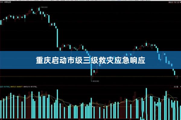 重庆启动市级三级救灾应急响应